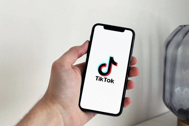 ( Ilustrasi TikTok) smartphone-5064085_1280.jpg (sumber://pixabay.com/id/)