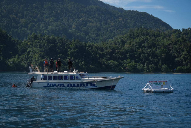Salah satu kawasan konservasi Kima di Pulau Labengki.