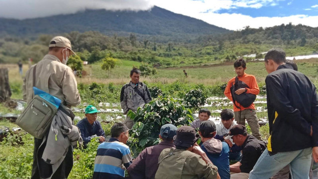 Aktivitas edukasi kopi arabica di agrowisata kibuk, Kota Pagar Alam, Sumsel, Minggu (13/10) Foto: urban id
