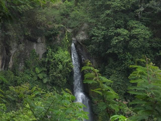 Coban Srengenge, foto hanya ilustrasi, bukan tempat sebenarnya: Unsplash/Ryan Z