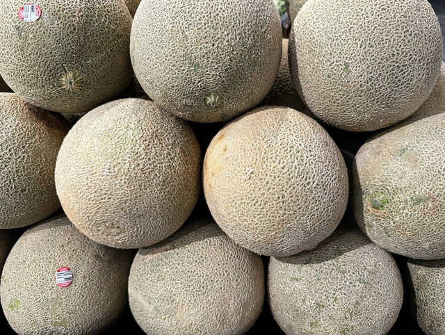 Cara Semai Melon Hidroponik, Pexels/Terrance Barksdale