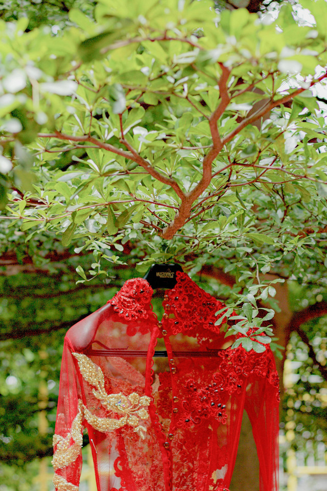 Ilustrasi kebaya Indonesia, Sumber: (https://www.pexels.com/id-id)