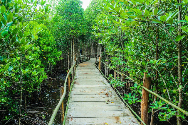 Tempat wisata di Aceh Jaya. Foto hanya ilustrasi, bukan tempat sebenarnya. Sumber: Pexels/icon0 com