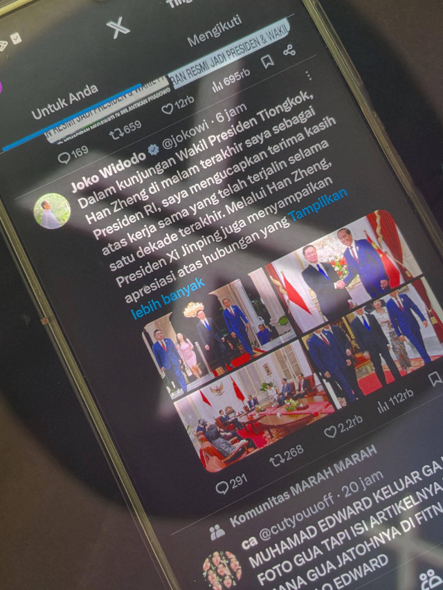 ilustrasi media sosial x (sumber: dokumen pribadi penulis)
