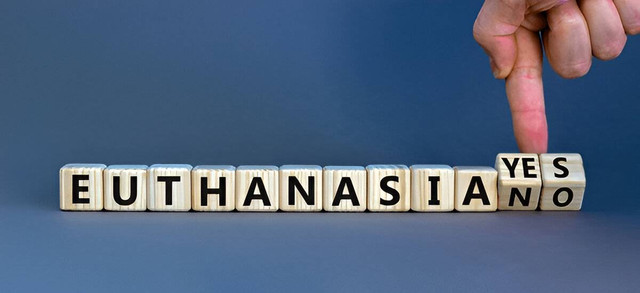 https://www.shutterstock.com/id/search/euthanasia?image_type=photo