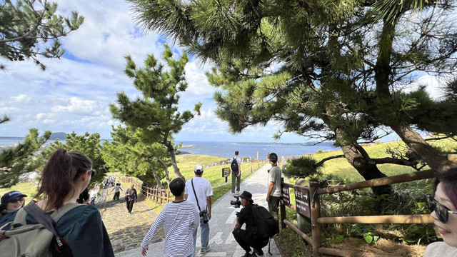 Ilustrasi Jeju, Korea Selatan. Foto: Gadi Kurniawan Makitan/kumparan