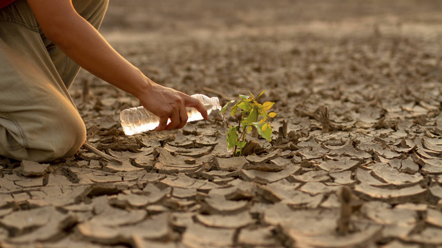 Ilustrasi Emisi Karbon. Foto: Shutterstock