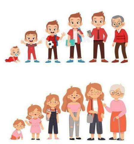 foto ilustrasi pertumbuhan pada manusia. gambar ini dihasilkan dari canva edit sendiri.