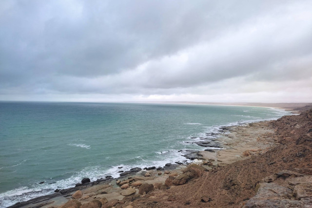 Ilustrasi Zona Litoral. Foto: Shutterstock