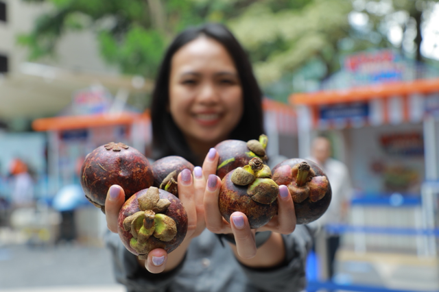 Buah manggis dari Klaster Usaha Manggis Bhuana Sari asal Melaya, Jembrana, Bali yang dijual di Bazaar UMKM BRILiaN di Area Taman BRI, Jakarta. Foto: Dok. BRI