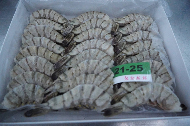 Olahan udang beku yang akan diekspor. Dok: KKP