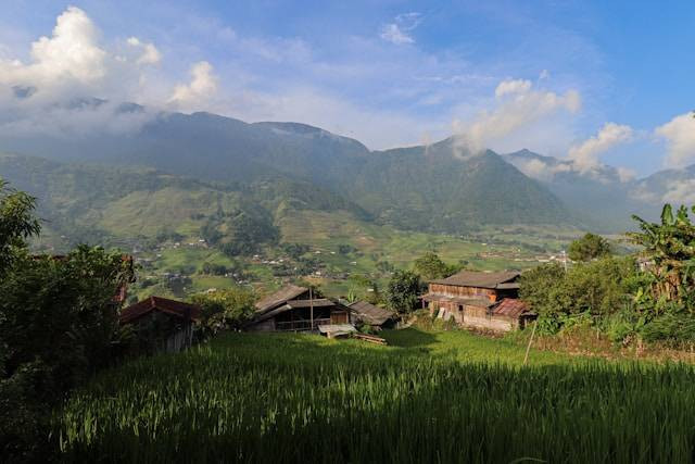 Apa Itu Akamsi? Foto Hanya Ilustrasi. Sumber Foto: Unsplash.com/Nathan Cima