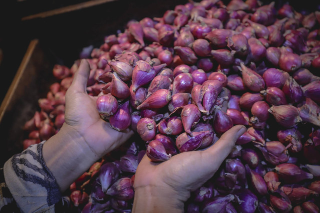 Pedagang memilah bawang merah di kiosnya di Pasar Senen, Jakarta, Jumat (1/11/2024). Foto: Jamal Ramadhan/kumparan