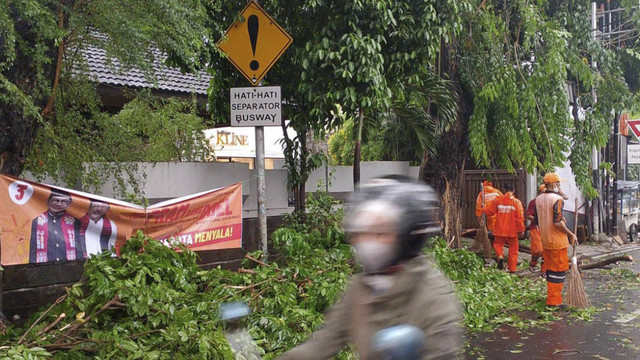 Petugas PPSU membersihkan pohon yang tumbang usai hujan deras di Jakarta, Sabtu (2/11/2024). Foto: Dok. BPBD DKI Jakarta