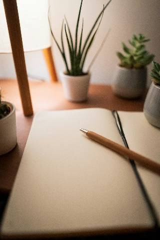 Photo by Max Saeling On Unsplash