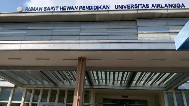 (Sumber: Dokumen Pribadi)