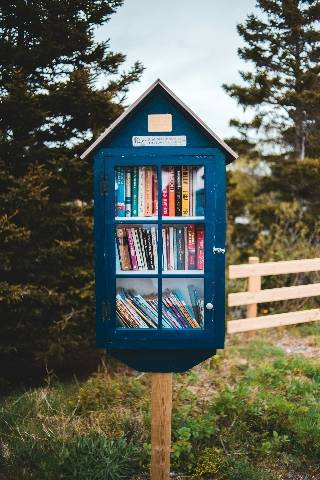 Photo by Erik Mclean on Unsplash