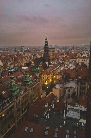 Ilustrasi Polandia. Foto: Pexels