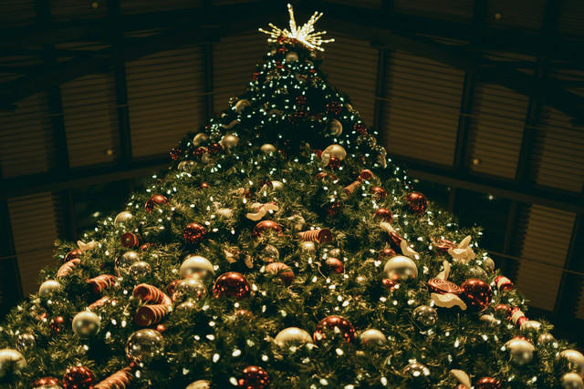 Ilustrasi untuk ucapan selamat Natal dan Tahun Baru. Foto: Unsplash/Greg Pappas