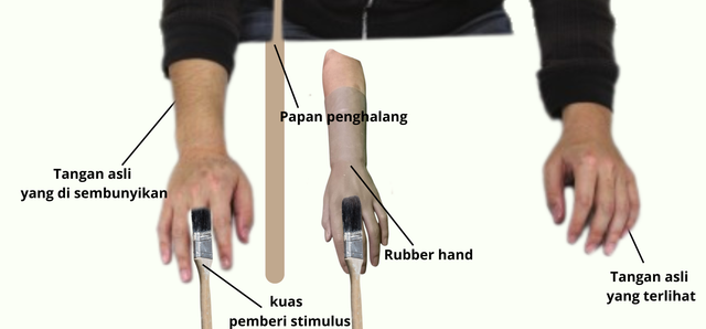 ilustrasi rubber hand (canva.com)