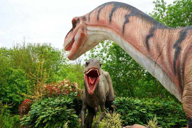 Kondisi bumi pada masa paleozoikum, Pexels/Mike Bird