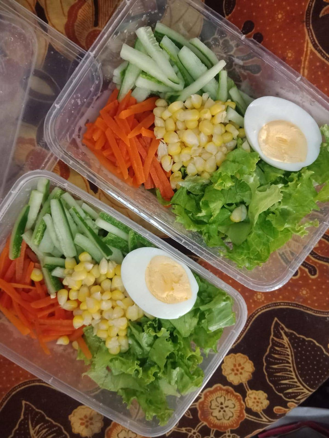 ilustrasi menu diet sehat ala Gen Z /dokumentasi pribadi