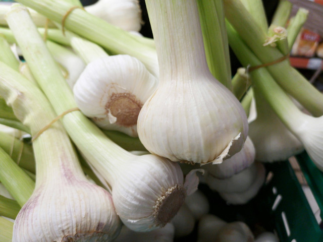 Ilustrasi cara mengatasi busuk daun pada bawang merah. Foto: Pexels.com/Engin Akyurt