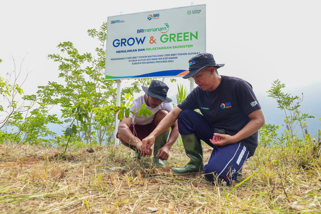 BRI lewat program BRI Menanam – Grow & Green bersama kelompok tani dan masyarakat lokal tanam pohon produktif di Desa Kutuh, Kecamatan Kintamani, Kabupaten Bangli, Bali. Foto: Dok. BRI