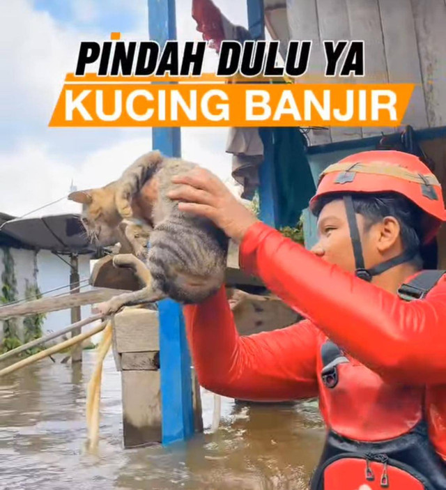 Momen heroik seorang relawan PMI Kalbar selamatkan kucing yang terjebak banjir di Kabupaten Ketapang. Foto: Dok. Instagram @pmiprovkalbar