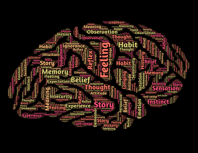 Brain photo. Photo : https://pixabay.com/illustrations/mind-brain-mindset-perception-544404/