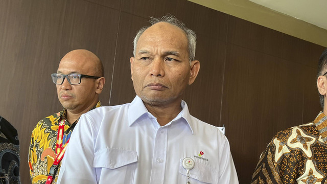 Kepala SKK Migas Djoko Siswanto, Selasa (3/12/2024). Foto: Fariza/kumparan