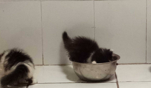 Ilustrasi topik (sumber: foto pribadi) 