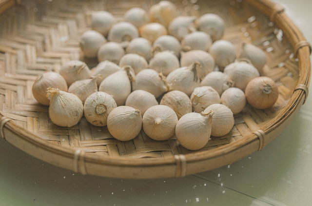 Ilustrasi Cara Fermentasi Bawang Putih Tunggal, Foto: Pexels/SpotwizardLee