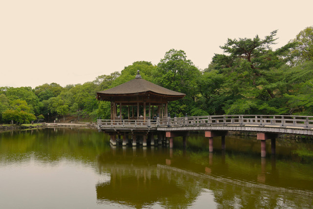 Ilustrasi Ilustrasi Semboyan Gerakan 3A dari Jepang,Foto:Pexels/Bruna Santos