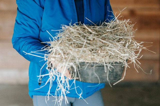 Ilustrasi Cara fermentasi sekam mentah dengan air panas. Foto: Pexels.com/Barbara Olsen