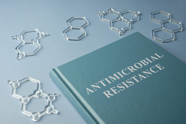 Ilustrasi Resistensi Antibiotik Foto: Vitalii Vodolazskyi/Shutterstock