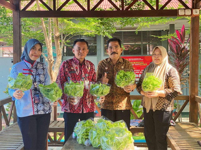 Panen Selada Hidroponik pada Lapas Polewali Wujudkan Ketahanan Pangan Mandiri