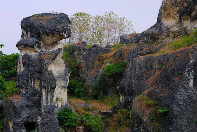 Tempat Wisata di Panceng, Foto Hanya Ilustrasi, Bukan Gambar Sebenarnya, Sumber Foto: Pixabay/ Hartono Subagio