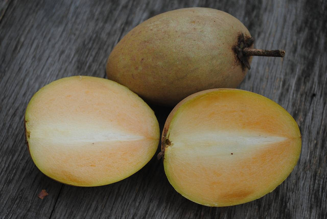 https://pixabay.com/id/photos/sawo-manilkara-zapota-buah-matang-6834188/