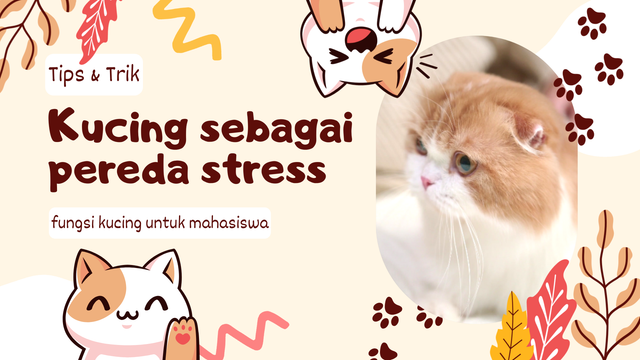 fungsi kucing untuk pelajar