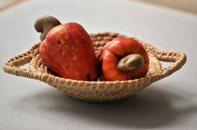 Bagaimana cara panen jambu mete?, Pexels/Magali Guimarães