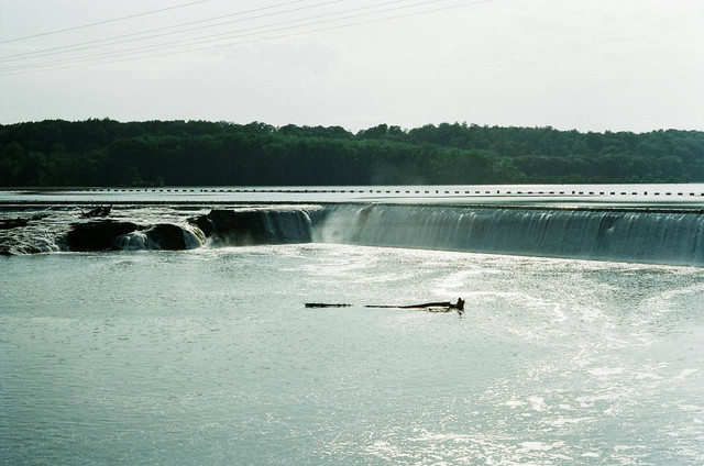 Ilustrasi gambar sejarah waduk selorejo, Pexels/Connor McManus