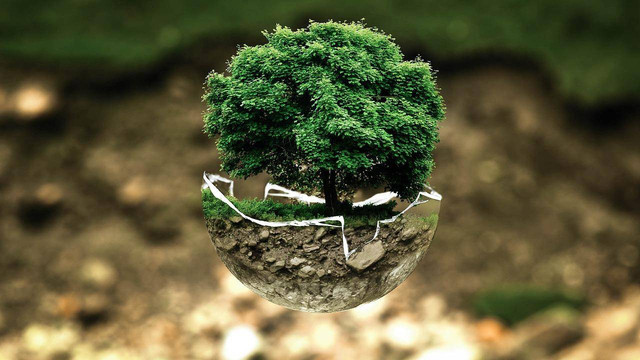 Lingkugan  hidup (sumber:https://pixabay.com/id)