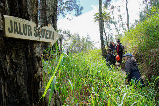 Sejumlah petugas meninjau jalur pendakian Gunung Semeru di Lumajang, Jawa Timur, Senin (23/12/2024). Foto: Irfan Sumanjaya/ANTARA FOTO