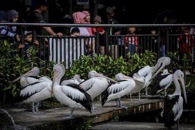 Catat Moms! Ini Jam Buka Tempat Wisata di Jakarta saat Libur Lebaran. Foto: Jamal Ramadhan/kumparan