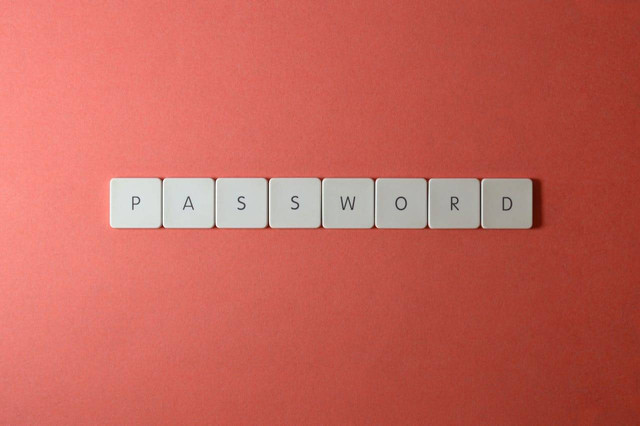 Ilustrasi Password. Foto: Pexels