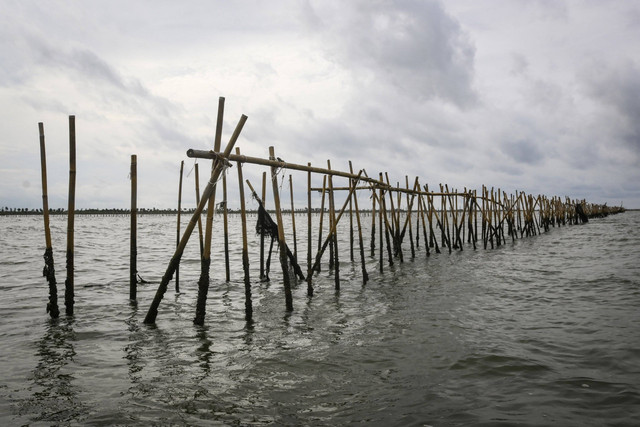 Pagar laut terpasang di kawasan pesisir Kabupaten Tangerang, Banten, Kamis (9/1/2025). Foto: Sulthony Hasanuddin/ANTARA FOTO