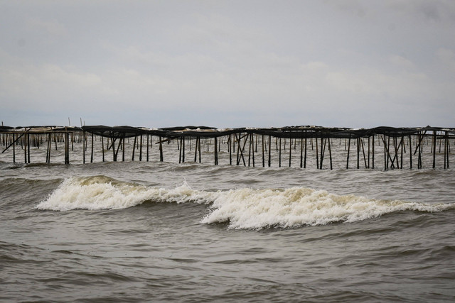 Pagar laut terpasang di kawasan pesisir Kabupaten Tangerang, Banten, Kamis (9/1/2025). Foto: Sulthony Hasanuddin/ANTARA FOTO