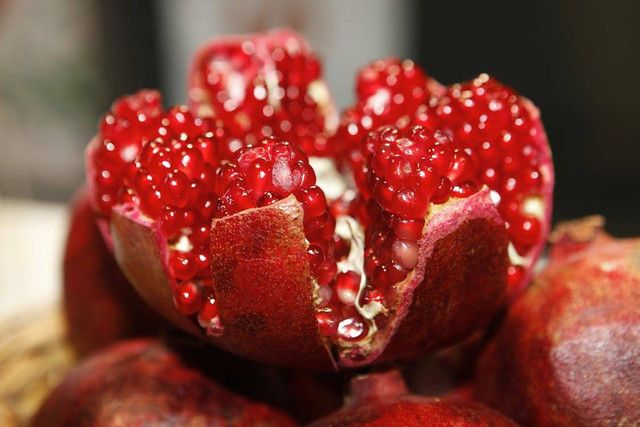 Ilustrasi Apakah Pohon Delima Berduri. Foto: Pexels.com/Pixabay