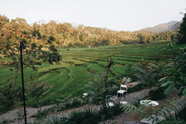 Ilustasi Kearifan Lokal Sumatera Utara yang Sangat Menarik, Pexels/Life Folk